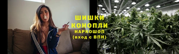 индика Баксан