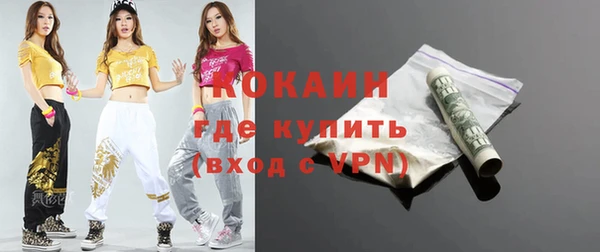 спиды Богородицк