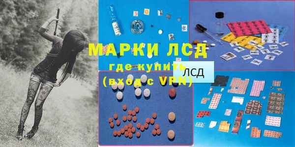 индика Баксан