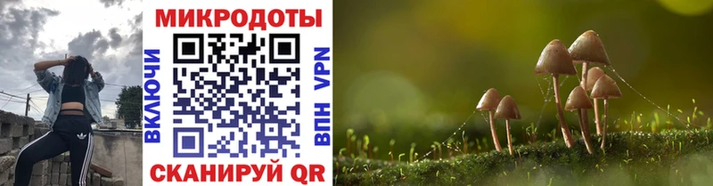 купить закладку  Дагестанские Огни  Псилоцибиновые грибы Cubensis 