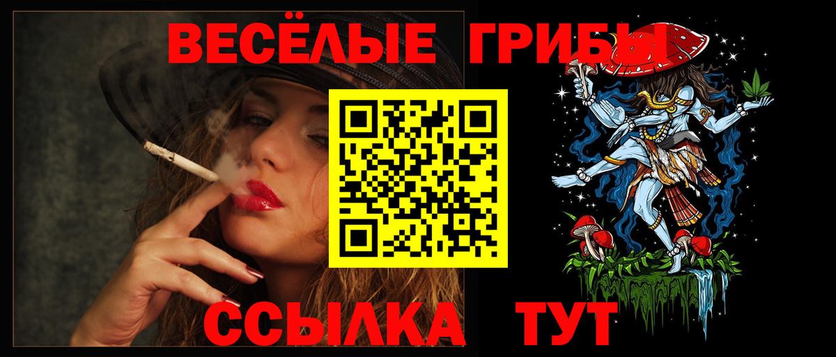 Галлюциногенные грибы мицелий Дагестанские Огни