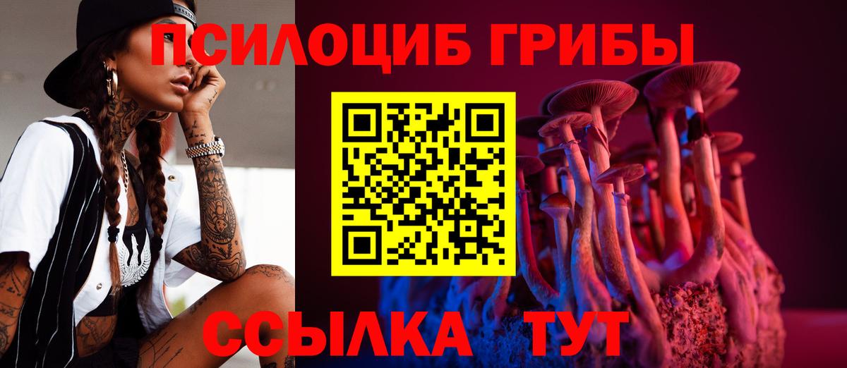 Псилоцибиновые грибы Cubensis  Вход с VPN  Псилоцибиновые грибы прущие грибы  Дагестанские Огни 